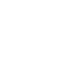 SEO Service in Madhapur